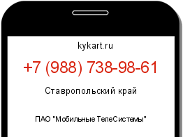 Информация о номере телефона +7 (988) 738-98-61: регион, оператор