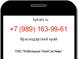 Информация о номере телефона +7 (989) 163-99-61: регион, оператор