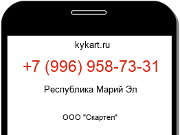 9969587331