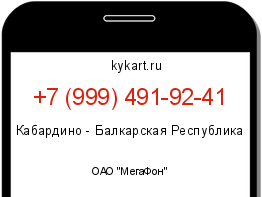 Информация о номере телефона +7 (999) 491-92-41: регион, оператор