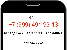 Информация о номере телефона +7 (999) 491-93-13: регион, оператор